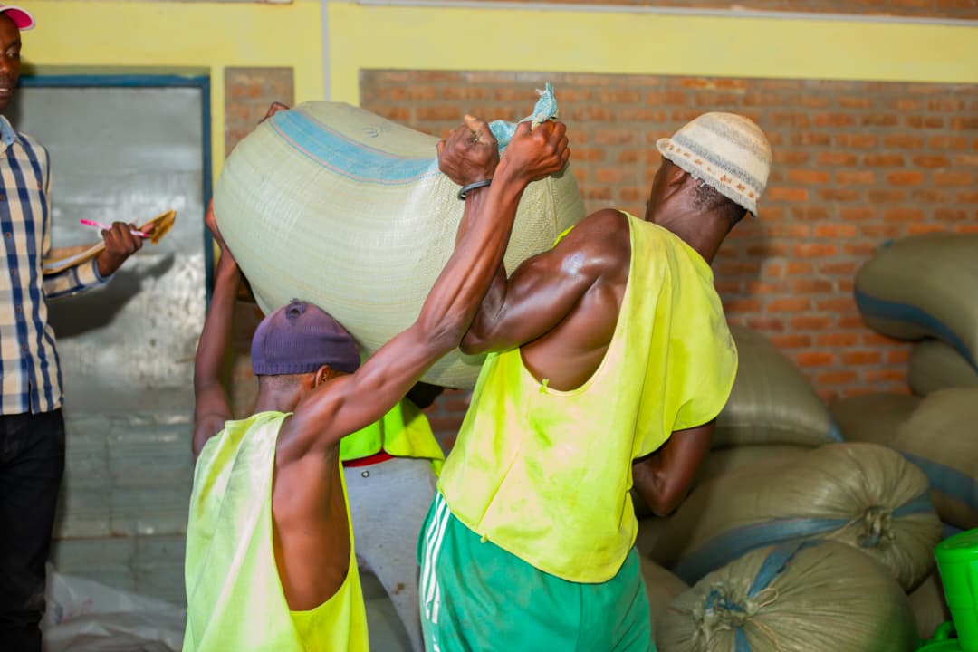 Création de 50 nouvelles entreprises vertes