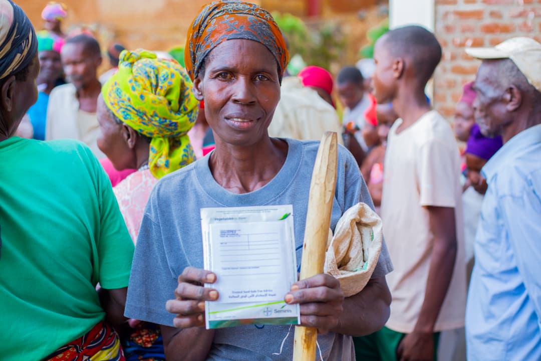 Entrepreneuriat vert et résilience économique